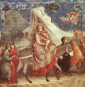 Giotto Scenes from the Life of the Virgin USA oil painting reproduction