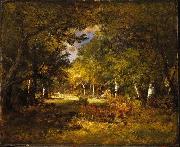 Forest Scene