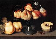 Still-Life
